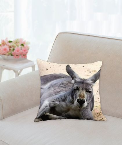 COUSSIN - kangourou