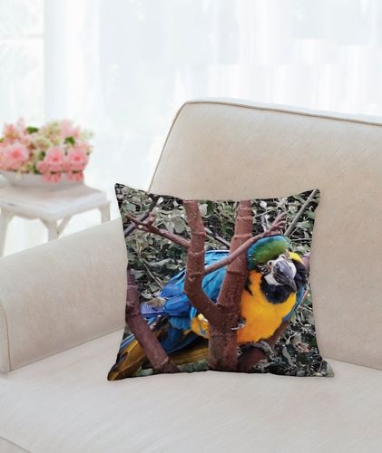 COUSSIN - perroquet